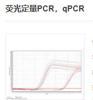 熒光定量PCR，qPCR實(shí)驗(yàn)服務(wù)